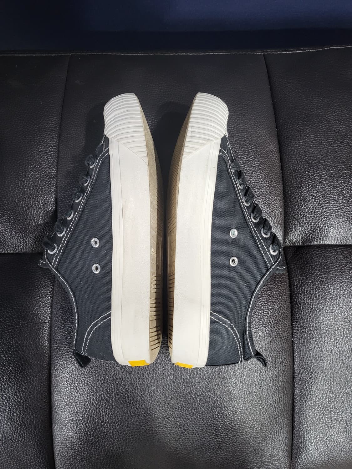 내셔널 지오그래픽 스니커즈 상품이미지3