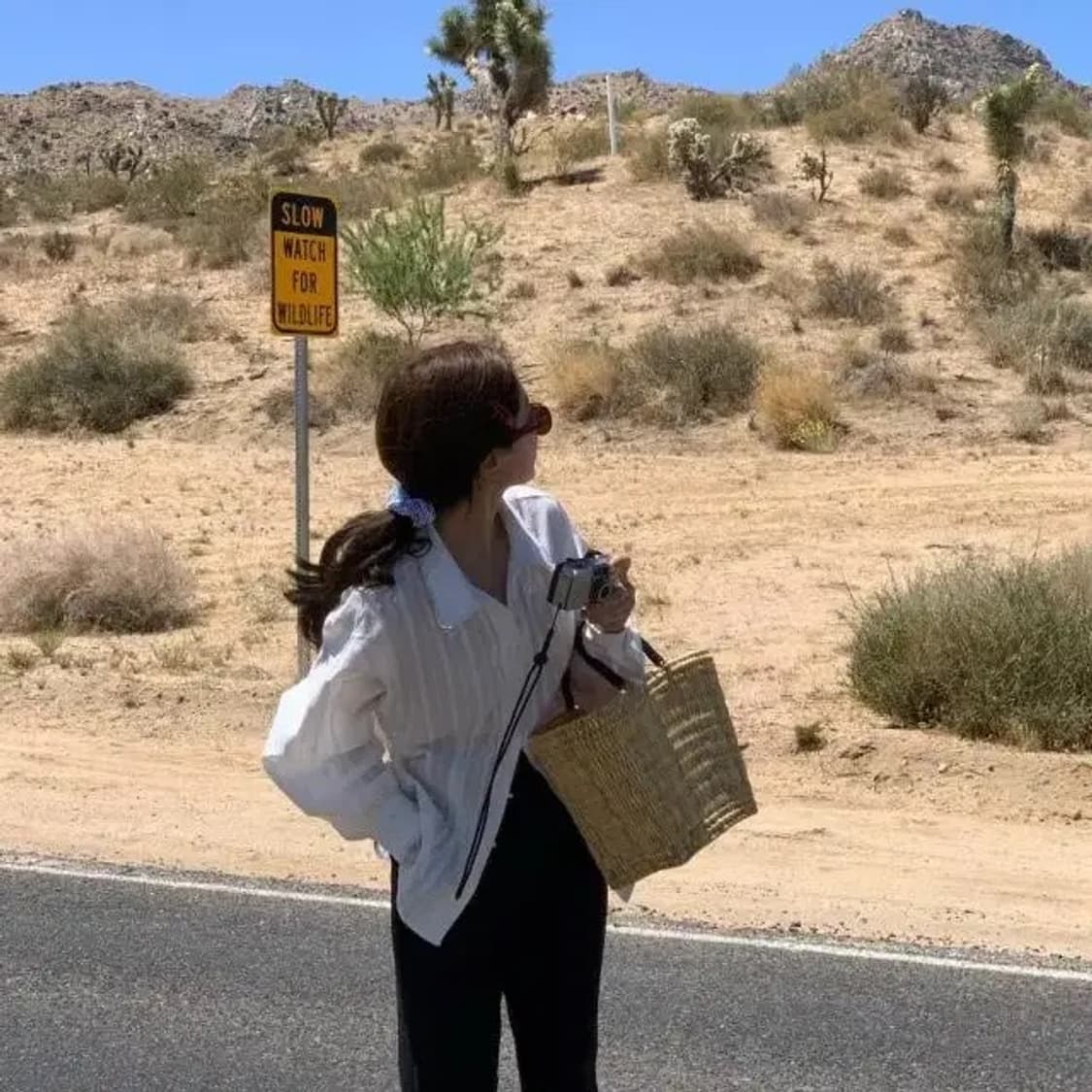 위드아웃썸머 플립 레이스 화이트 셔츠 블라우스 F 상품이미지3