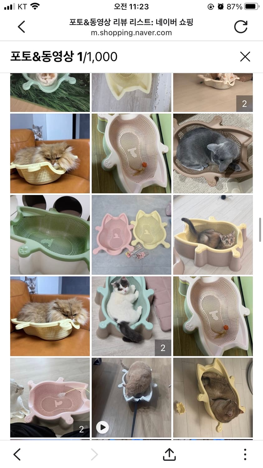 대구 직거래) 🐱🐈캣방 고양이 소쿠리 핑크 새상품 반려동물 상품이미지3