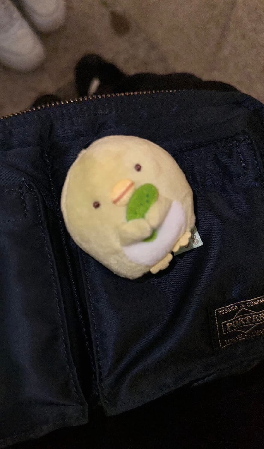 니콘 쿨픽스 5600 상품이미지5