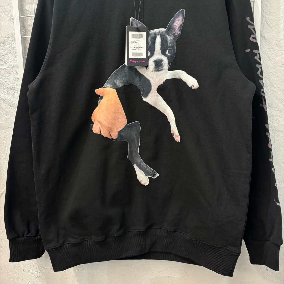 D.day X Scudo 보스턴테리아 블랙 스웻셔츠 M 상품이미지4