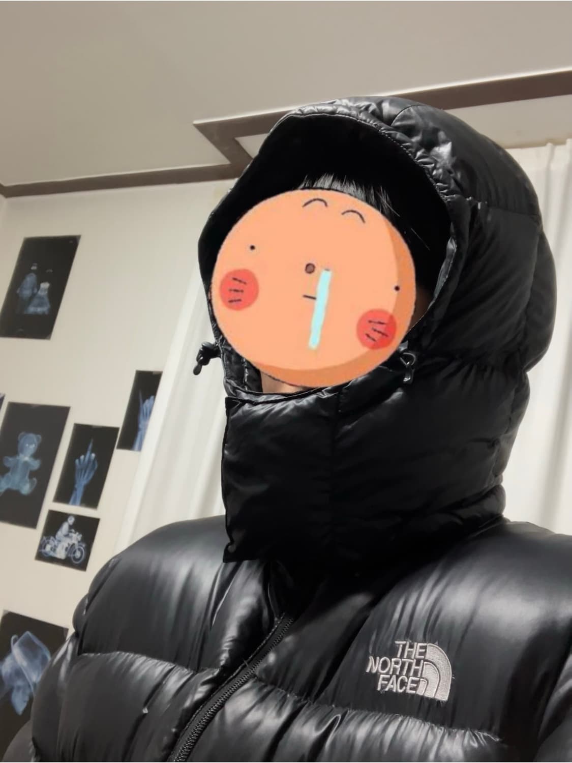 노스페이스 메트로 700 눕시 패딩 블랙 상품이미지10