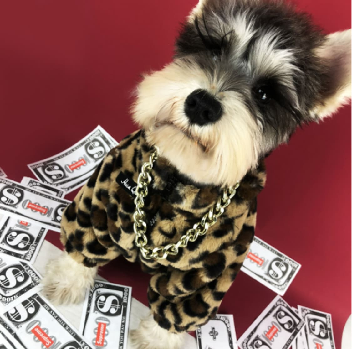 강아지 호피 퍼 자켓 상품이미지6