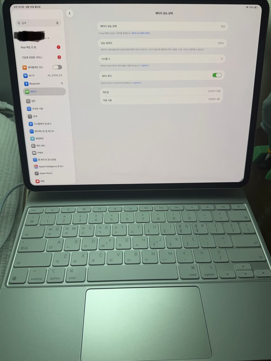 아이패드 프로 13(M5) 256GB 패키지 상품이미지3