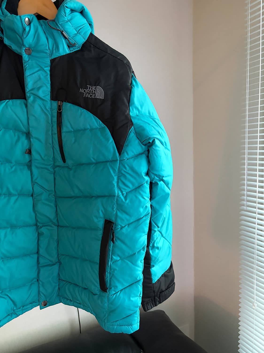 노스페이스 써밍 900 윈드스토퍼 패딩 (해외 L)  상품이미지3