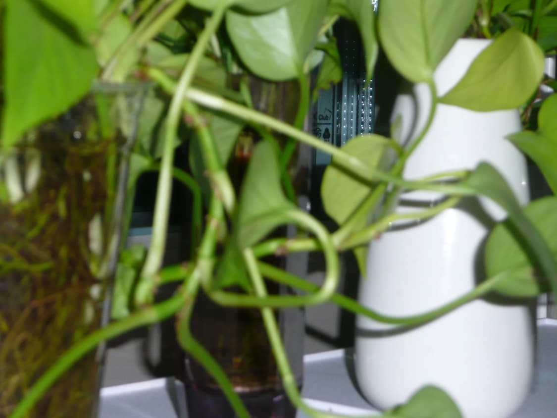 [라이카렌즈📸] 파나소닉 루믹스 DMC TZ3 빈티지 디카 lumix 상품이미지7