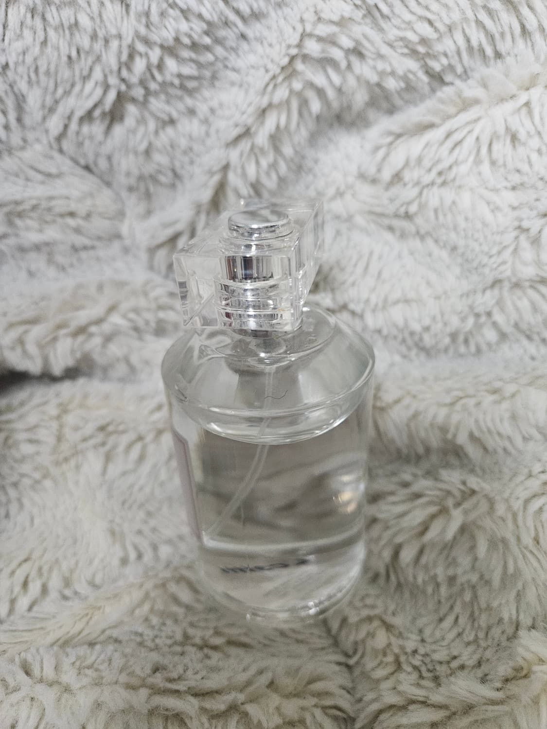 샤보 레 꽁상뜨레 오드퍼퓸 100ml 상품이미지2