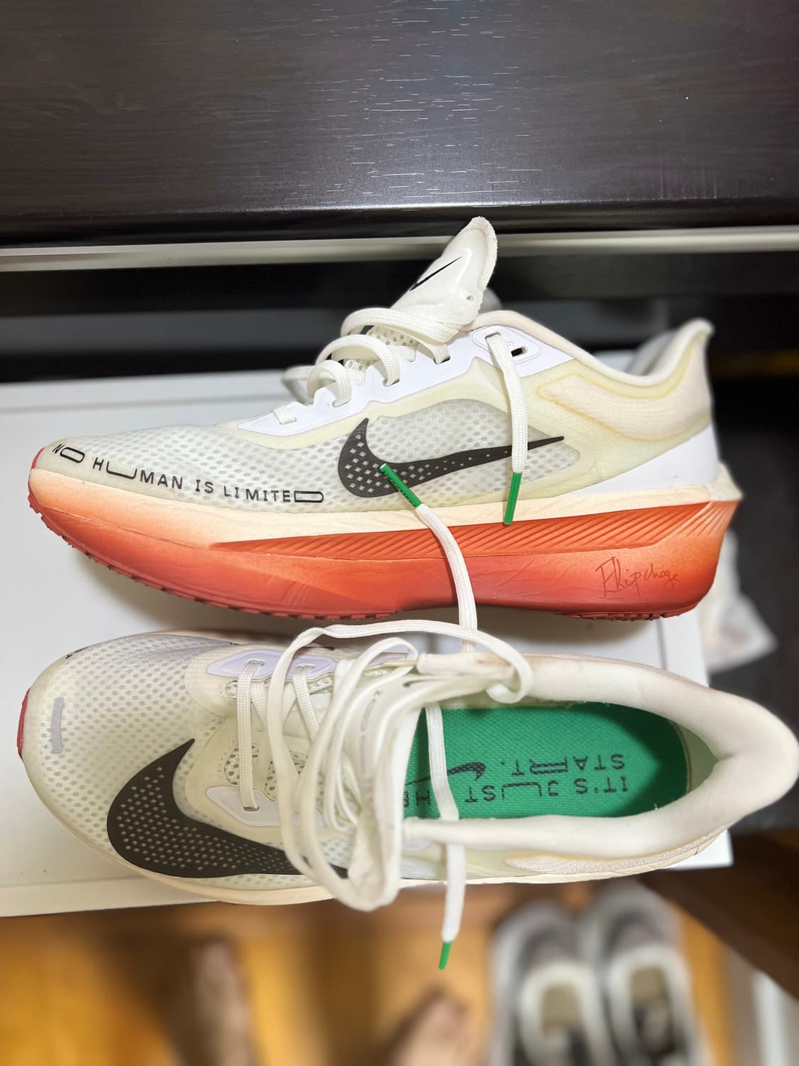 나이키 줌 플라이 6 엘리우드 킵초게 255mm 상품이미지4