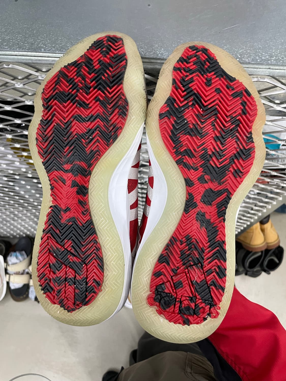 아디다스 데임 6 290  (gr-4168) 상품이미지6