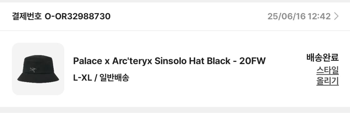 아크테릭스x팔라스 콜라보 신솔로햇 L-XL 상품이미지2