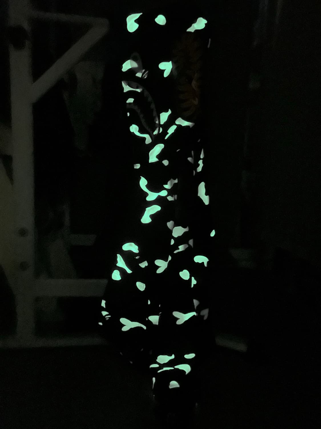 베이프 시티 카모  타이거 샤크 풀후드집업(글로우) 상품이미지8