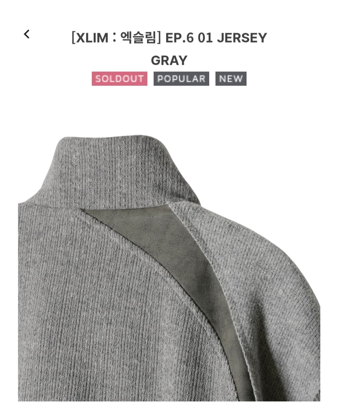 XLIM EP6 JERSEY GRAY 상품이미지5
