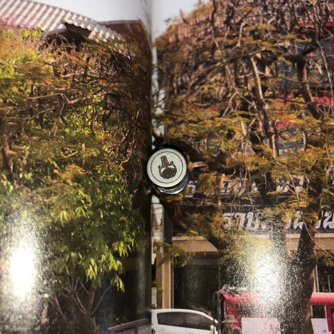 림보 결과 2 🪥 12,000 상품이미지2