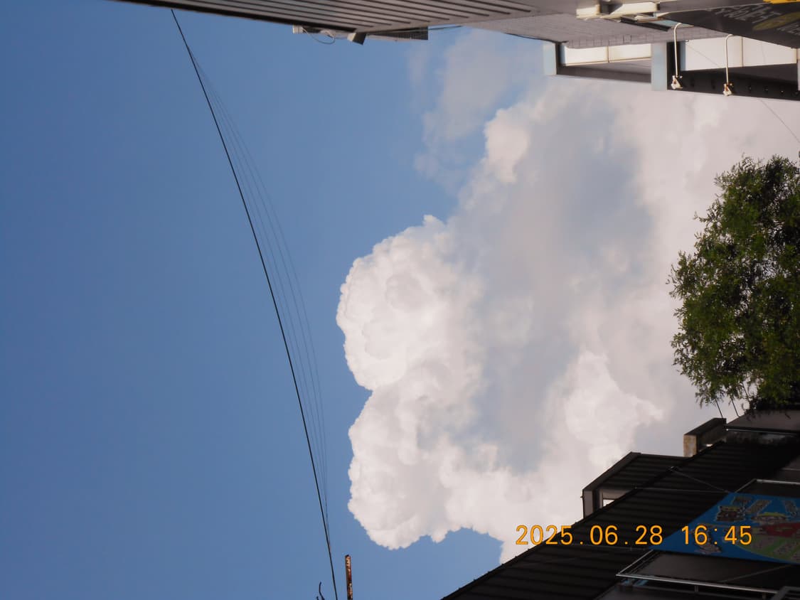 니콘 쿨픽스 s3300판매(작례참고) 상품이미지9