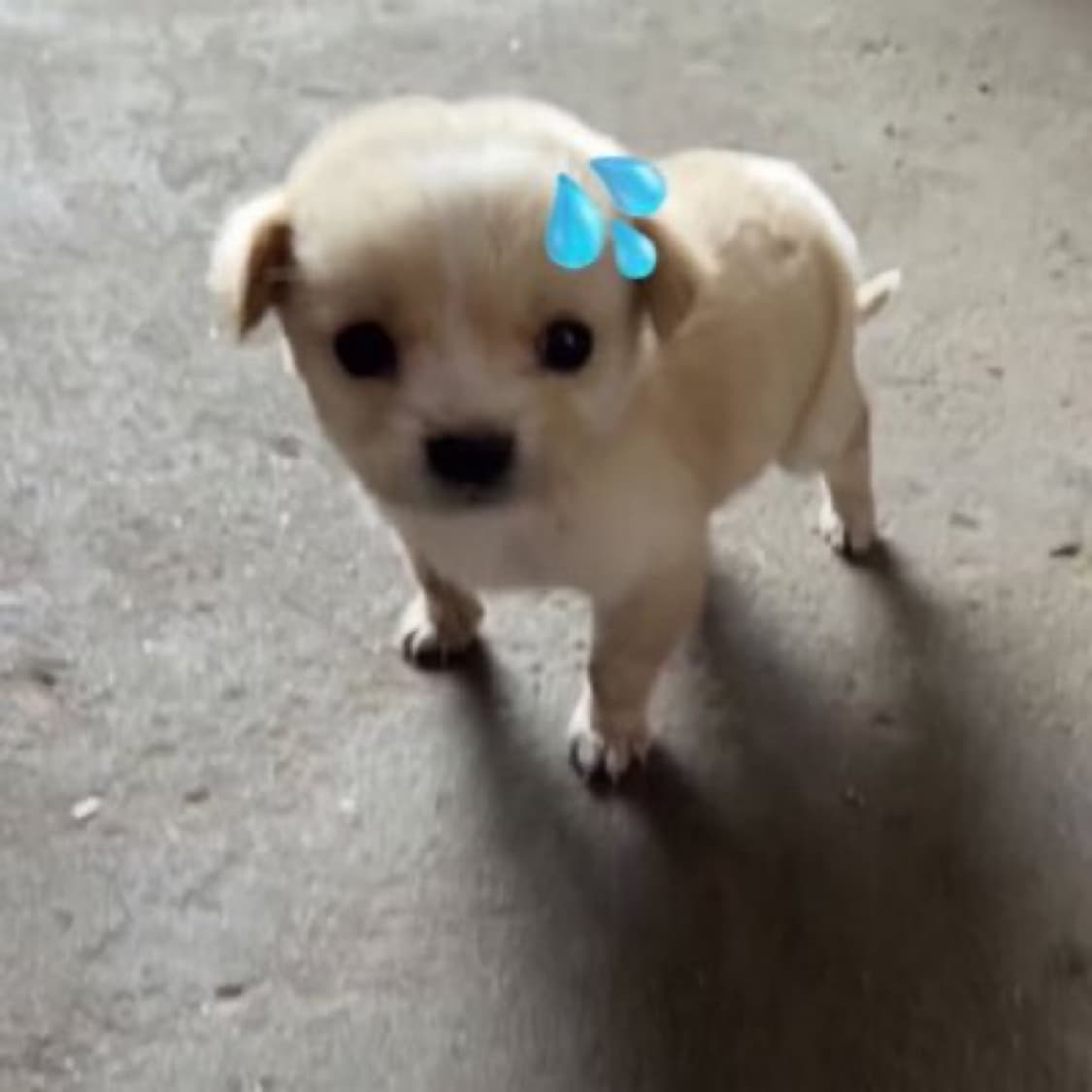 결제창... 상품이미지1