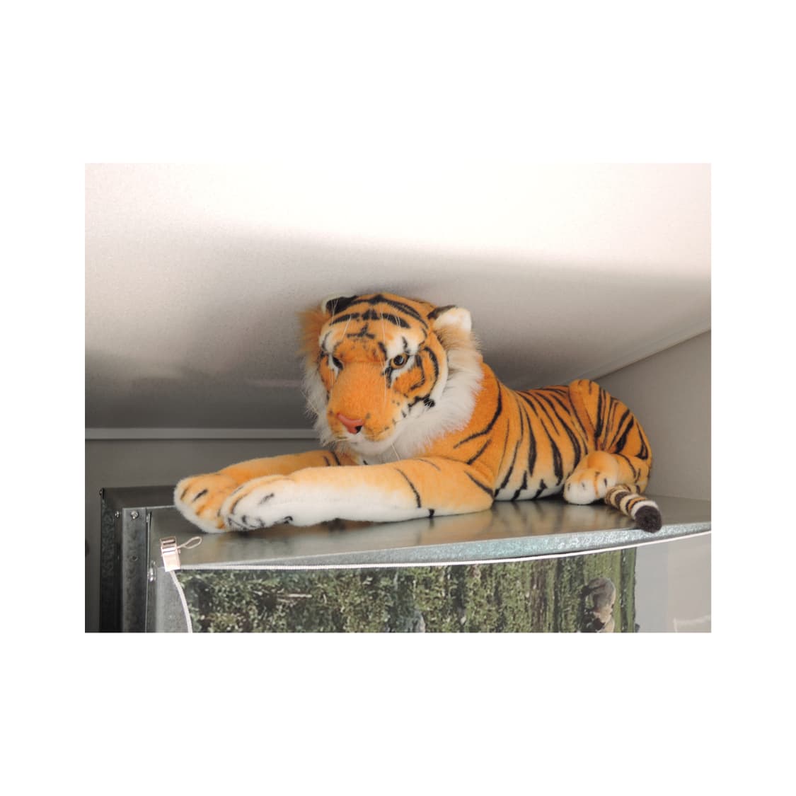 니콘 쿨픽스p330 디지털카메라 빈티지디카 상품이미지9