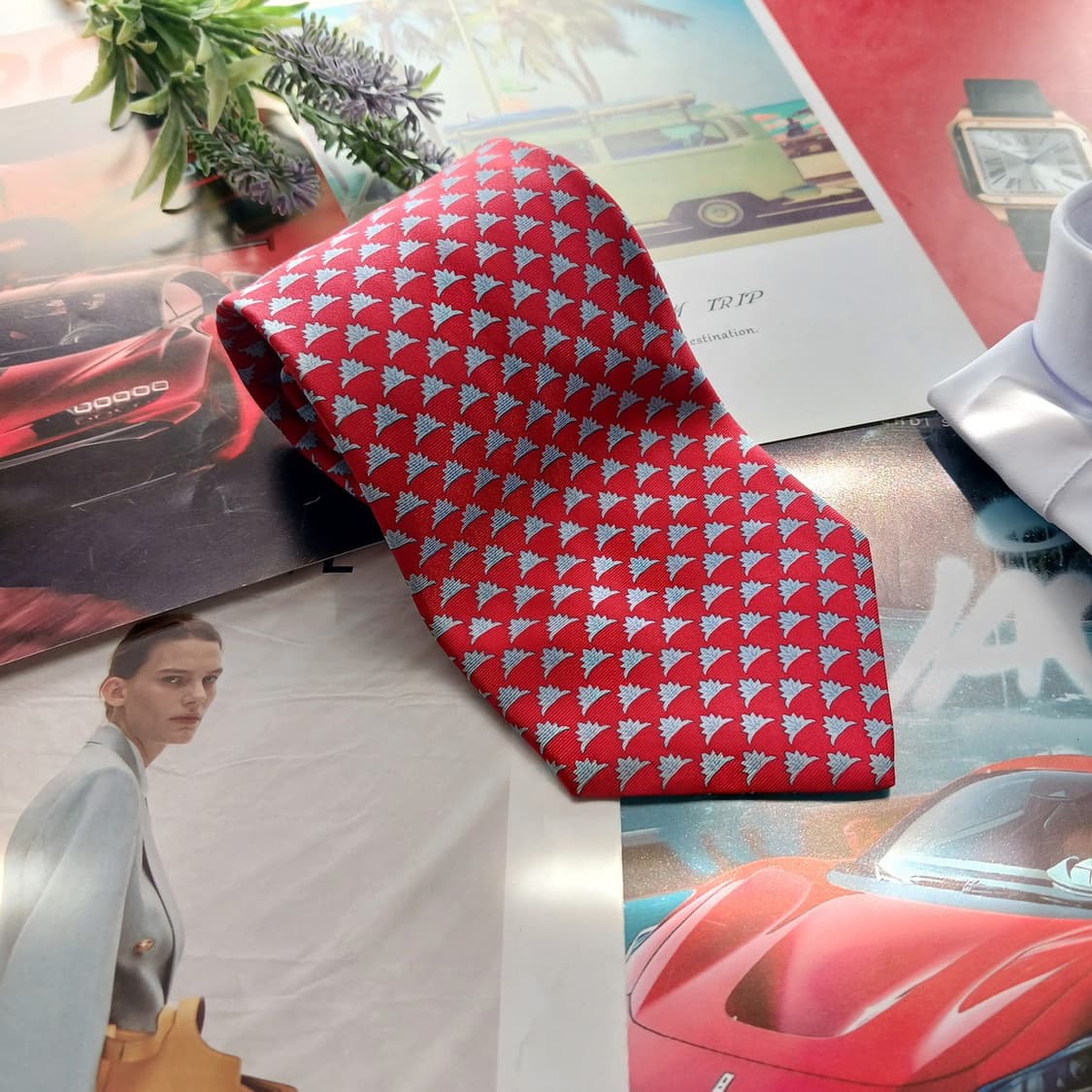 앤드류스타이 실크 레드 패턴 넥타이 10.2cm A+등급 A18292
 상품이미지2