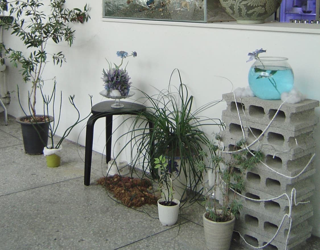 작례) 소니 사이버샷 DSC-P8 디지털 카메라 뉴진스 혜인 디카 상품이미지6