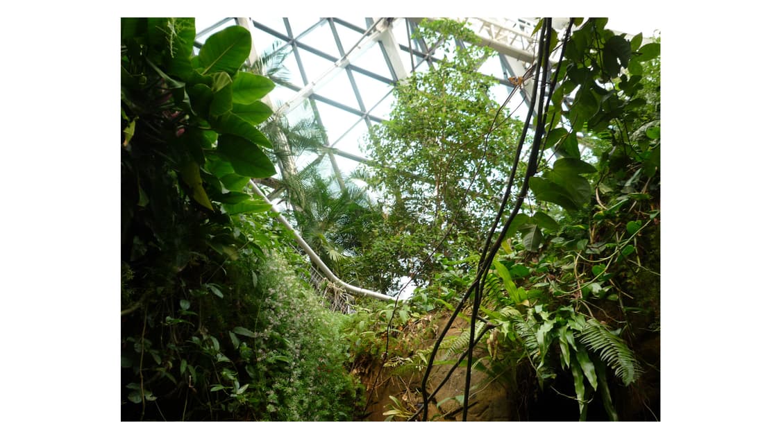 루믹스 DMC-FX150 상품이미지4