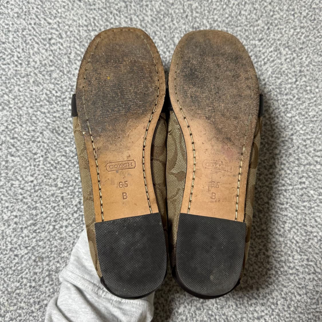 Coach 코치 시그니처 로퍼 235 상품이미지5