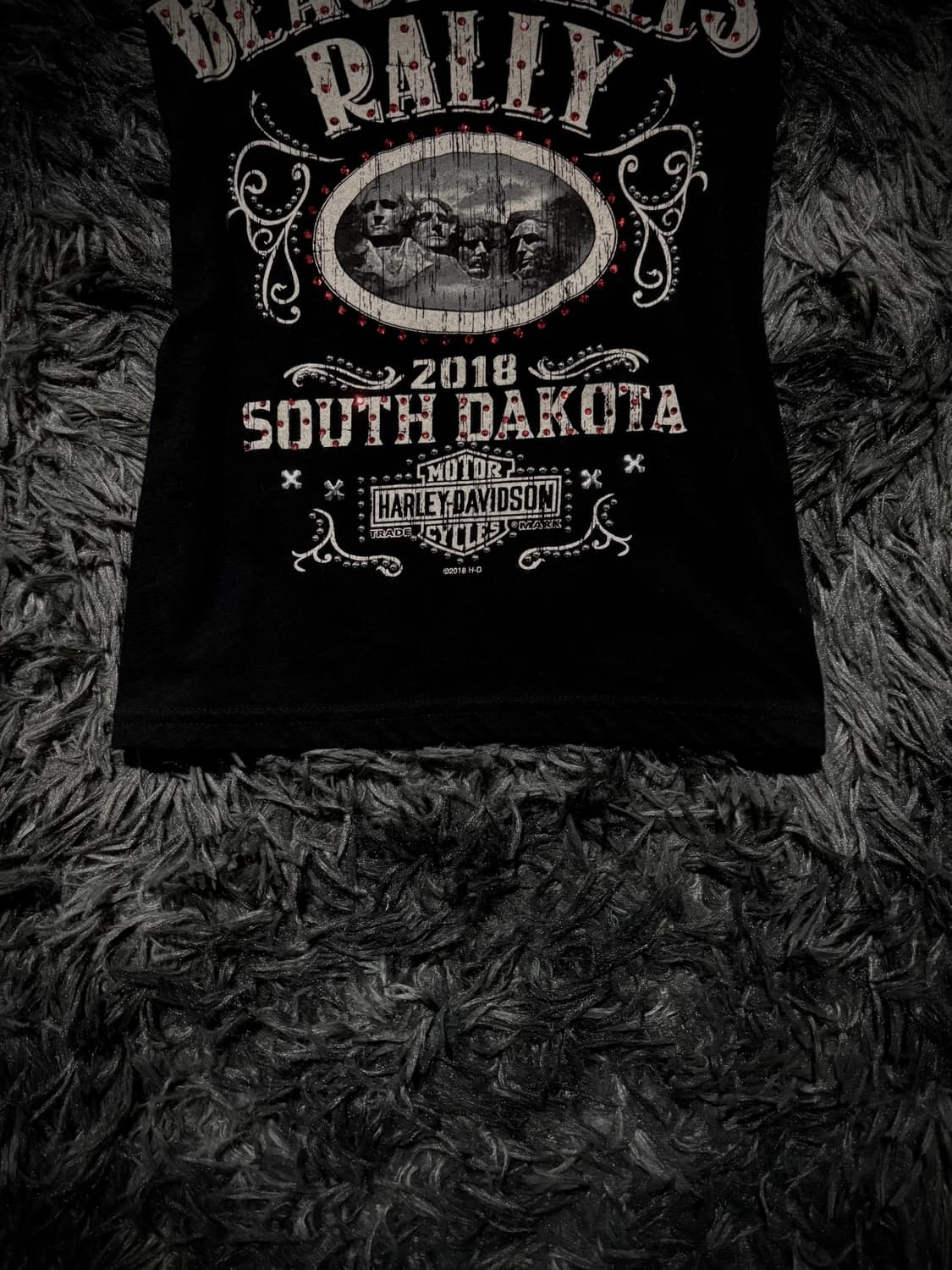 HARLEY DAVIDSON 레터링 레드 큐빅 V넥 블랙 빈팔 티셔츠 상품이미지4