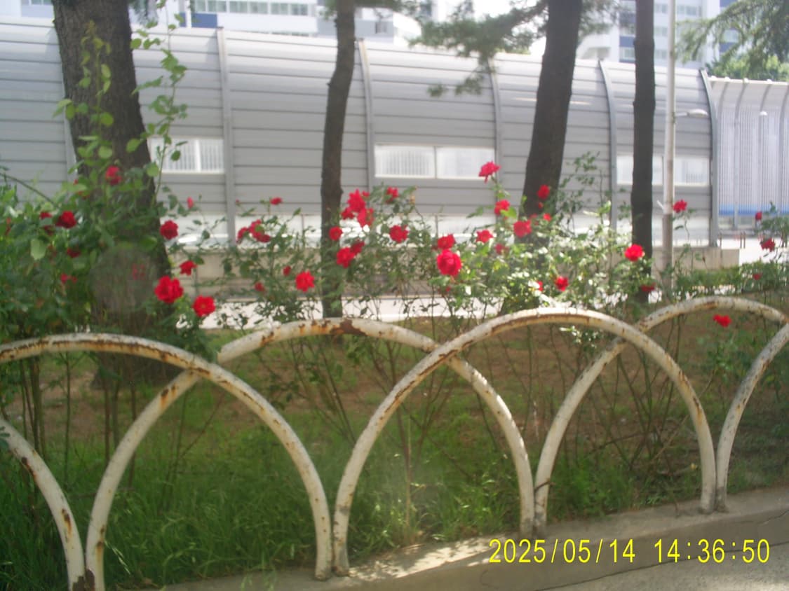 삼성 케녹스 D402 디지털카메라  상품이미지8