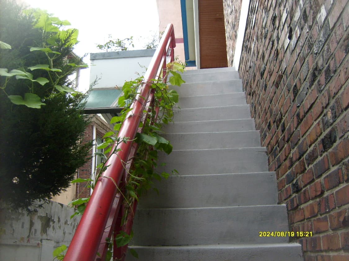 삼성 케녹스 s630 디카 (빈티지 카메라) 상품이미지6