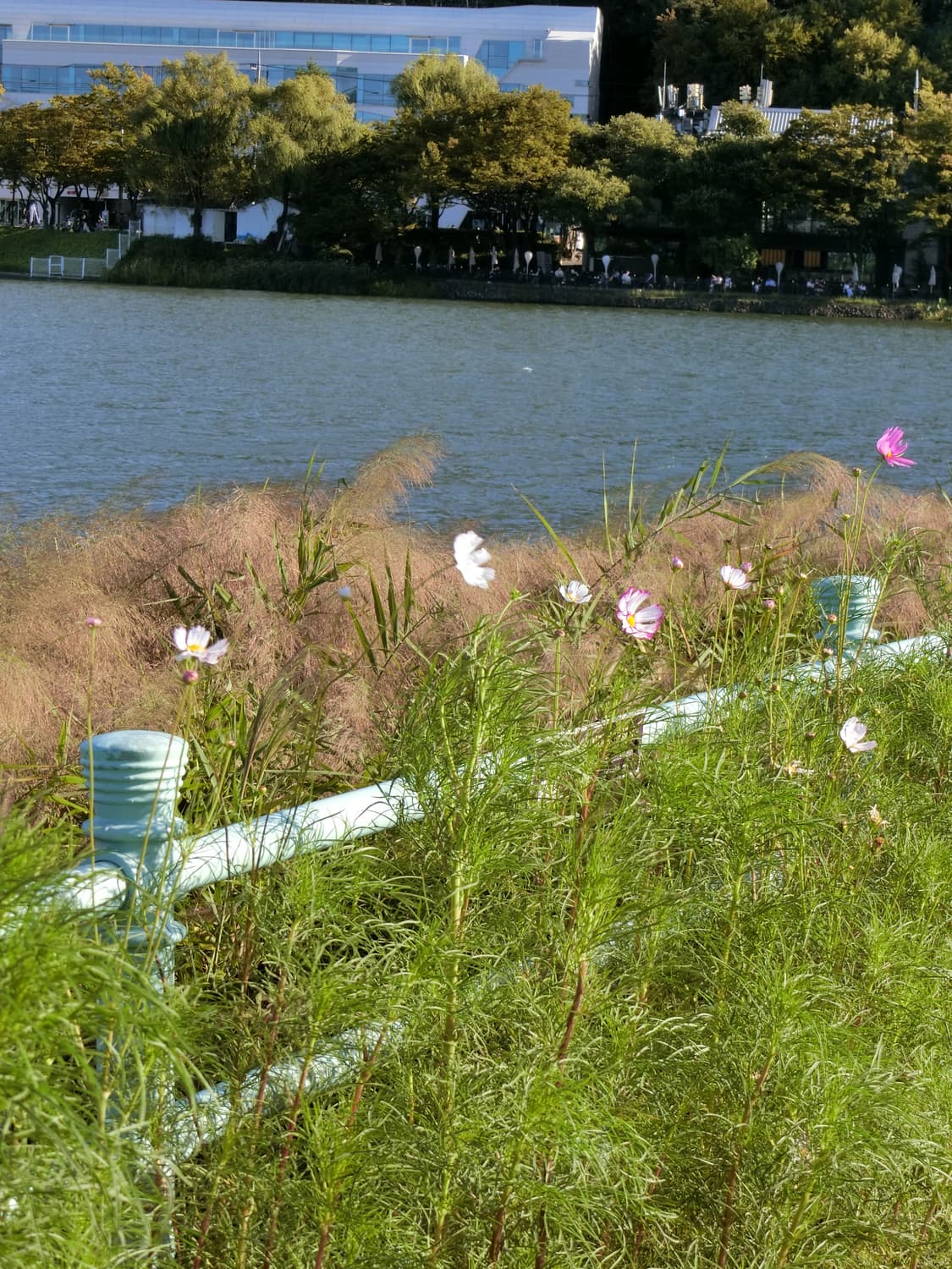 은채디카 ! 카시오 엑슬림 EX-Z1050 빈티지디카 디카 상품이미지2