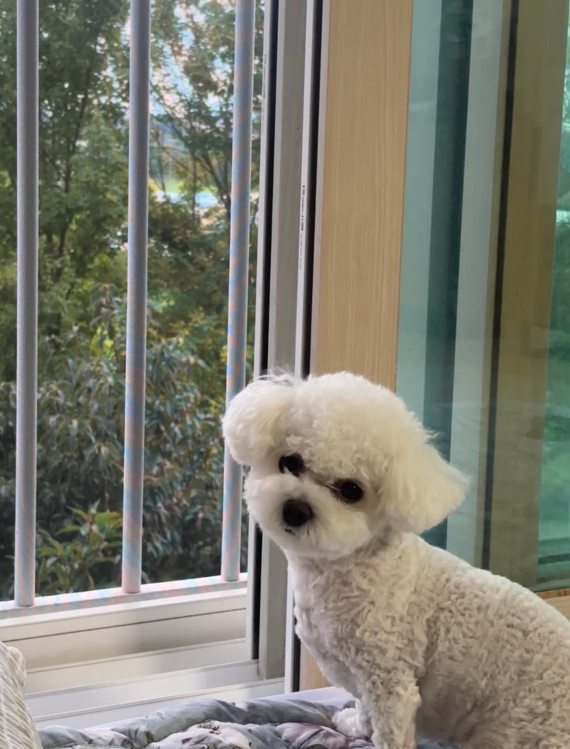 쩝 상품이미지1