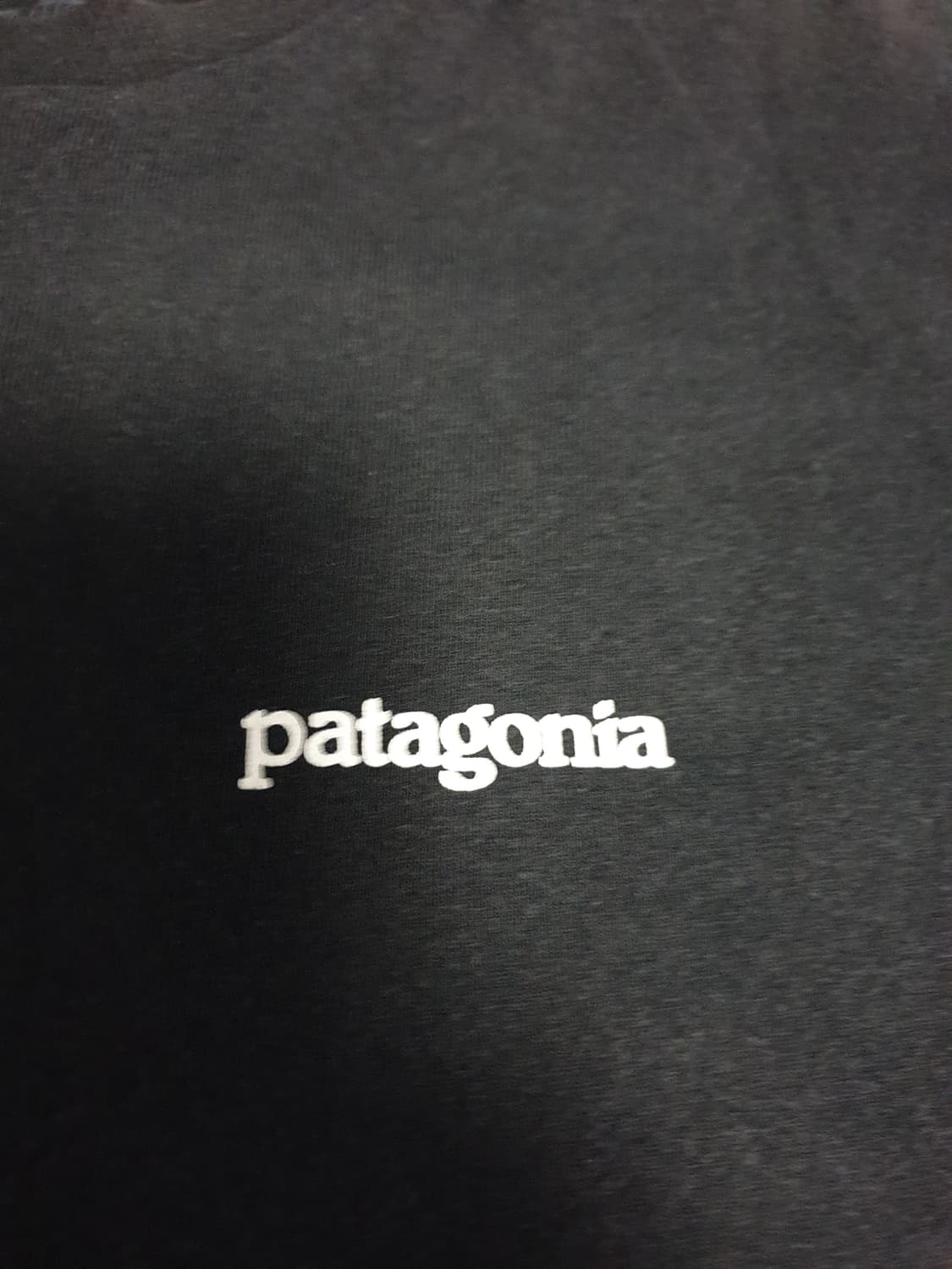 파타고니아 레귤러핏 백프린팅 반팔티 블랙 (L) 상품이미지2