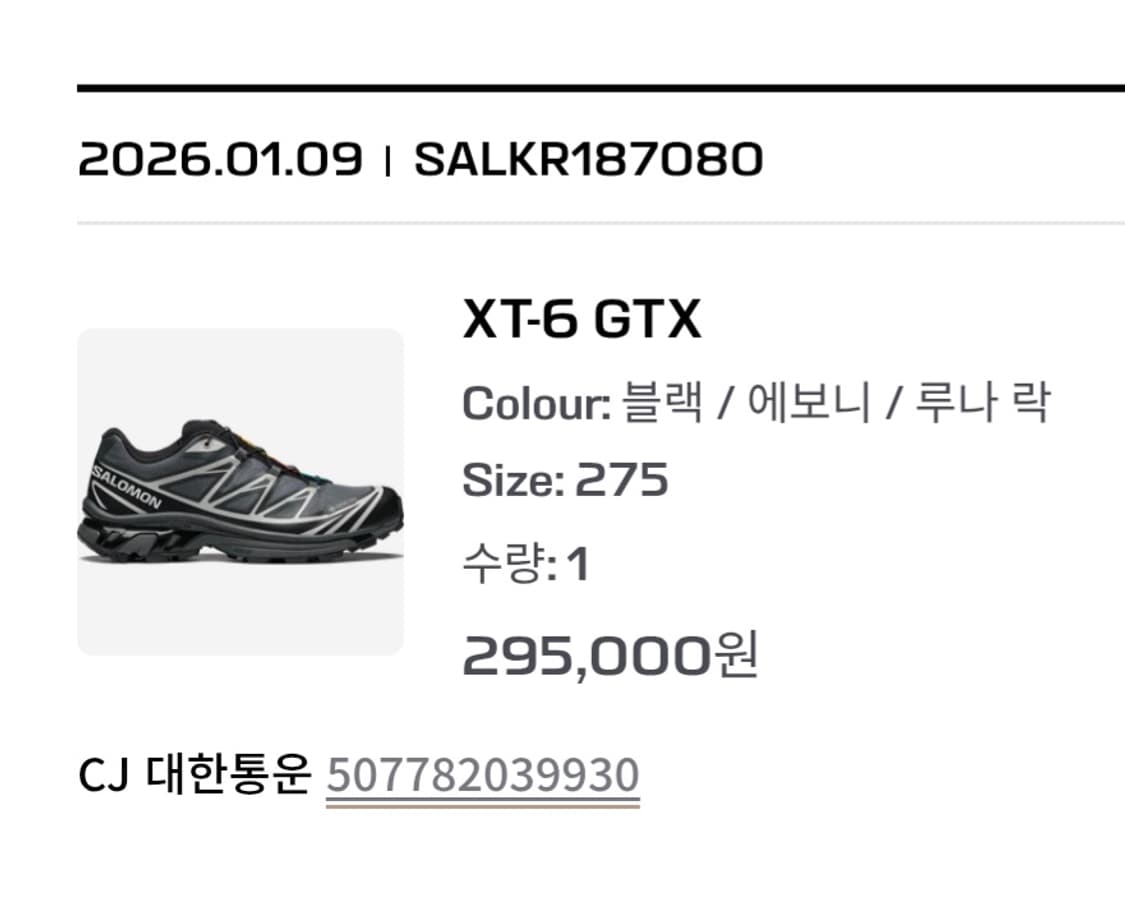 새제품 정가이하 살로몬 xt-6 gtx 고어텍스 275 상품이미지4