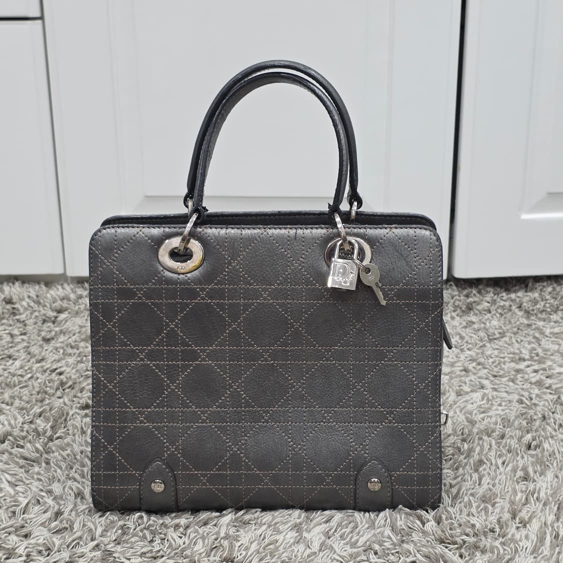 디올 레이디백 까나쥬 메탈릭 미듐 토트백 상품이미지2