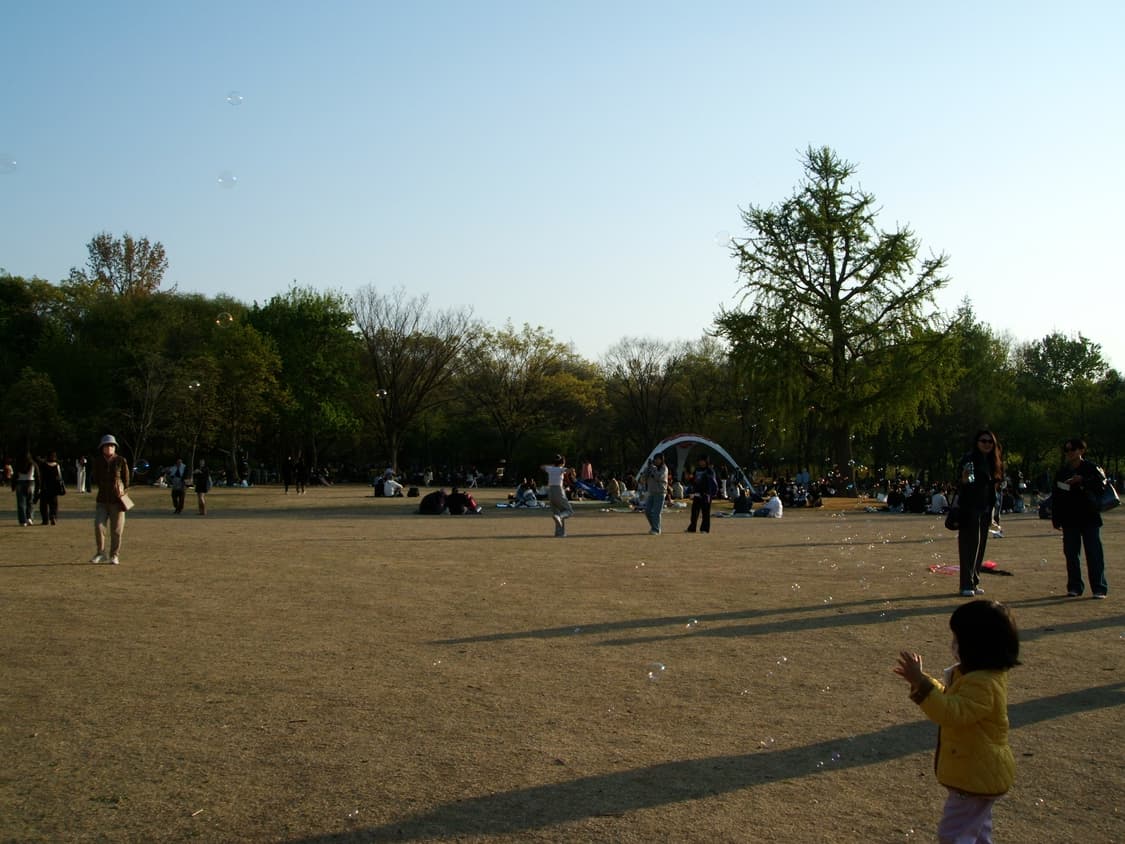 [희소템]후지필름 Finepix F700 실버 빈티지디카 상품이미지9