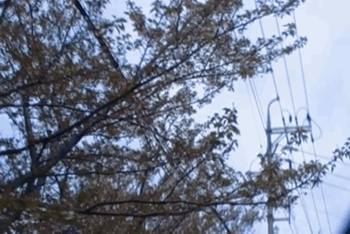 (셀카 가능)삼성 smx-c10 캠코더 상품이미지5