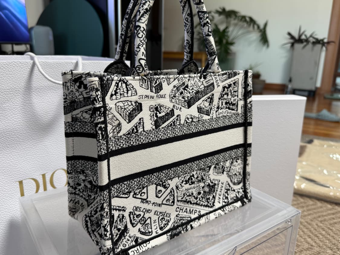 디올 스몰 북 토트백 플랜 드 파리 자수 화이트 블랙 상품이미지2