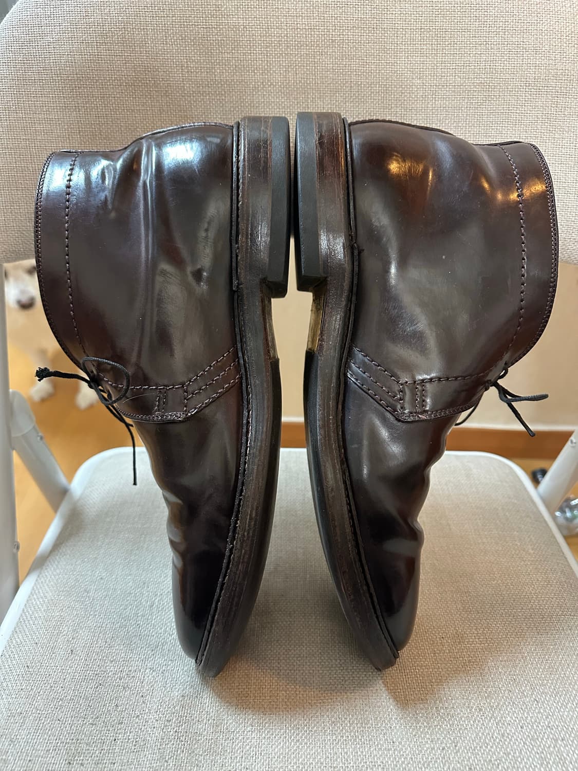 [10.5D] 알든 1339 처카 상품이미지2