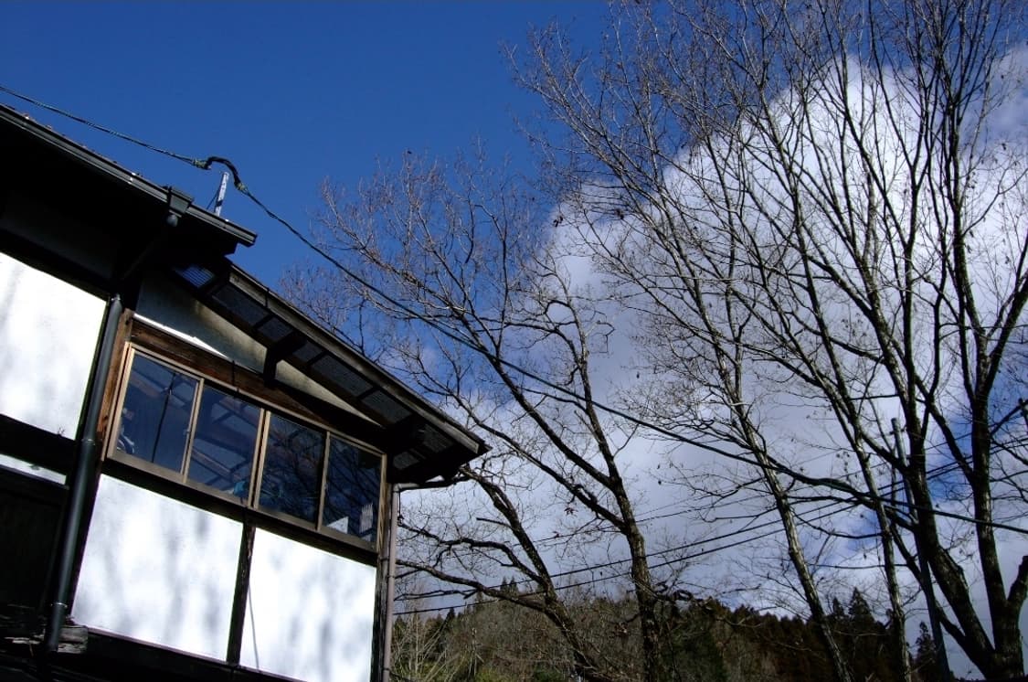 미품✨ 후지 파인픽스 F50fd 골드 ✨ 감성 가득 데일리 디카🥹 상품이미지9