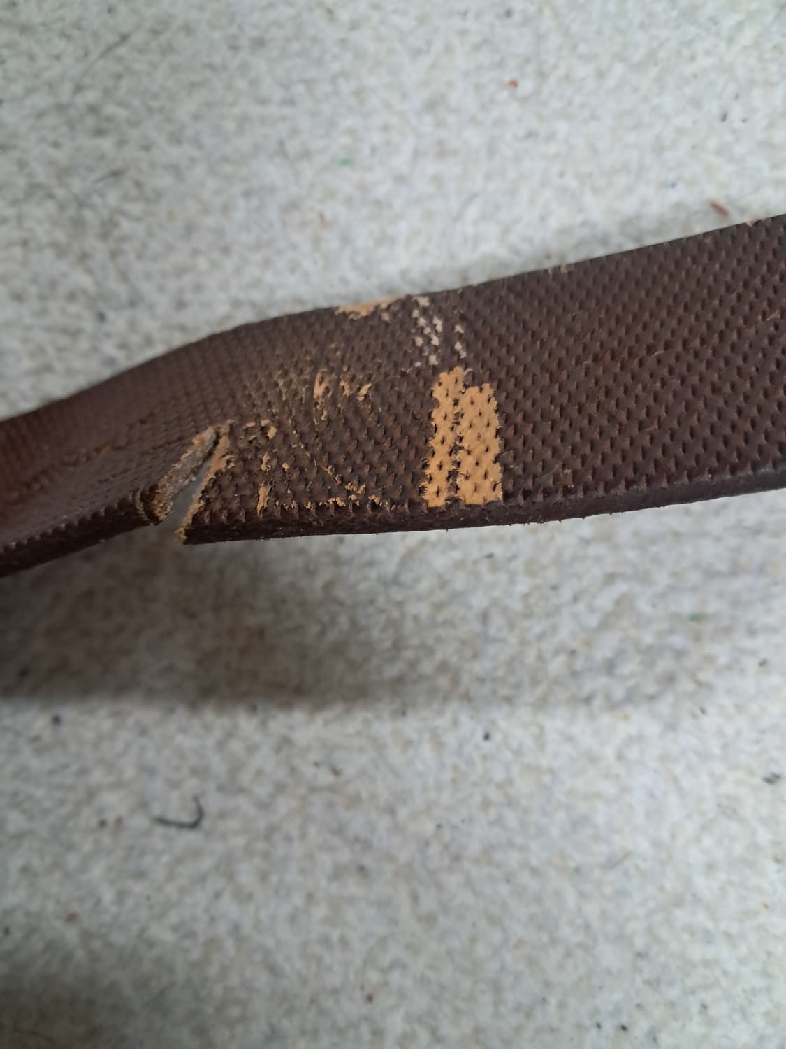 넘버나인 가죽벨트 상품이미지5