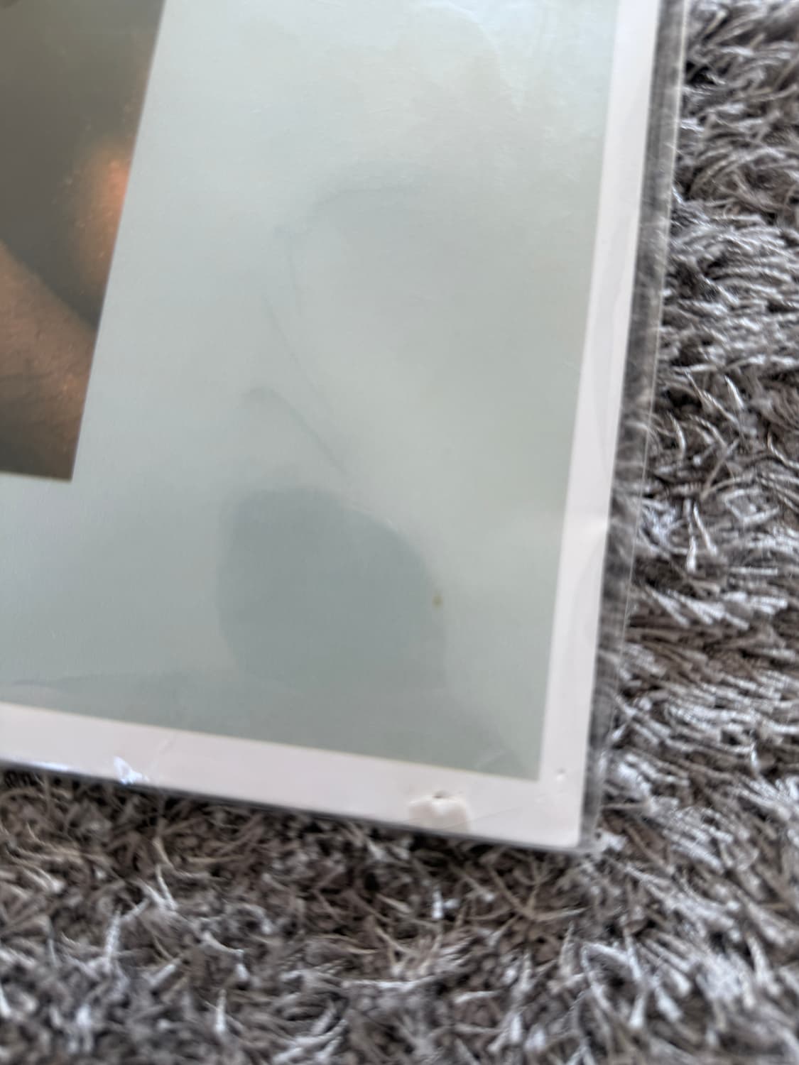 프랭크오션 blond LP 미개봉 상품이미지4