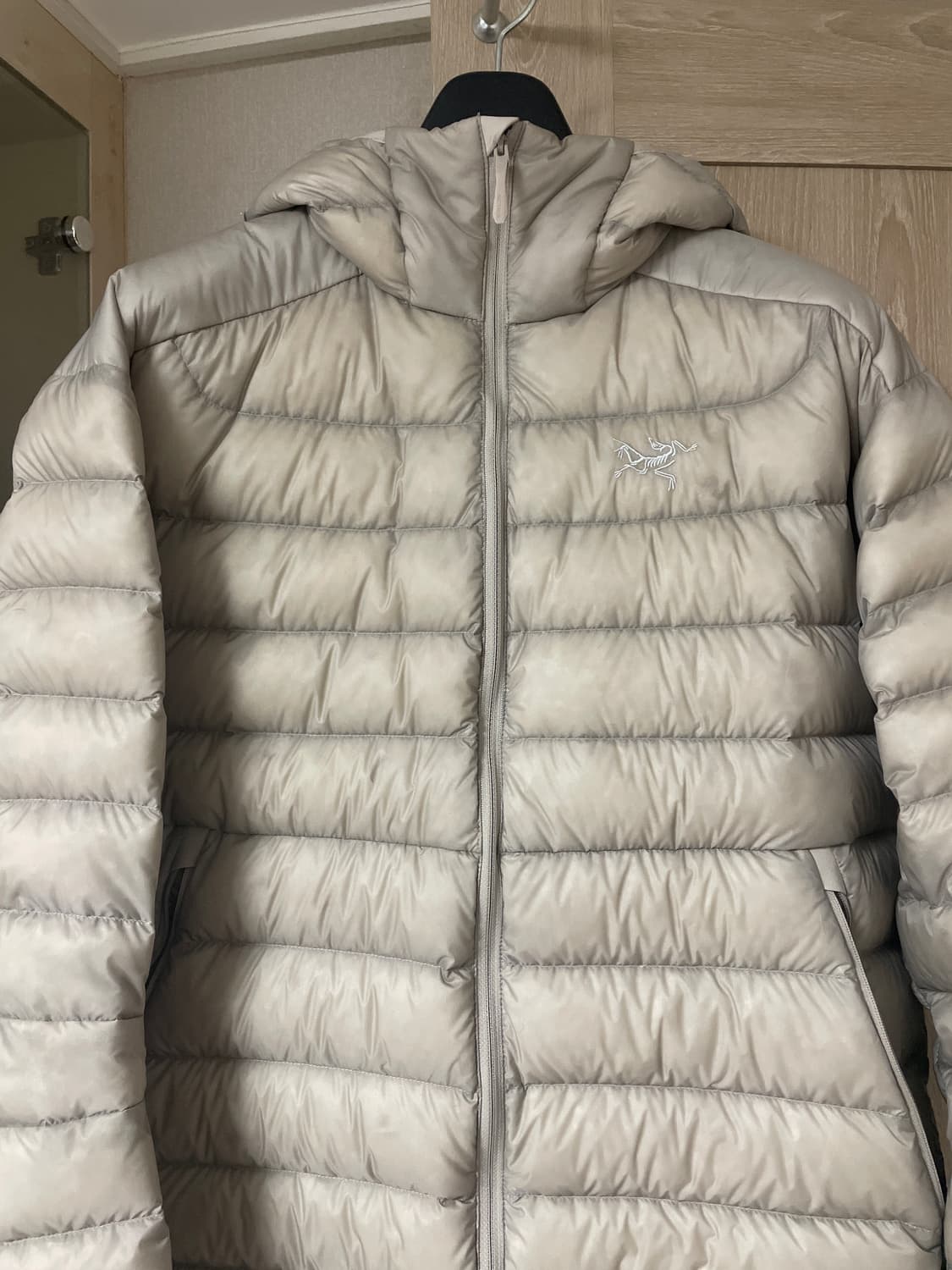 아크테릭스 세륨 후디 룬 lg 상품이미지1