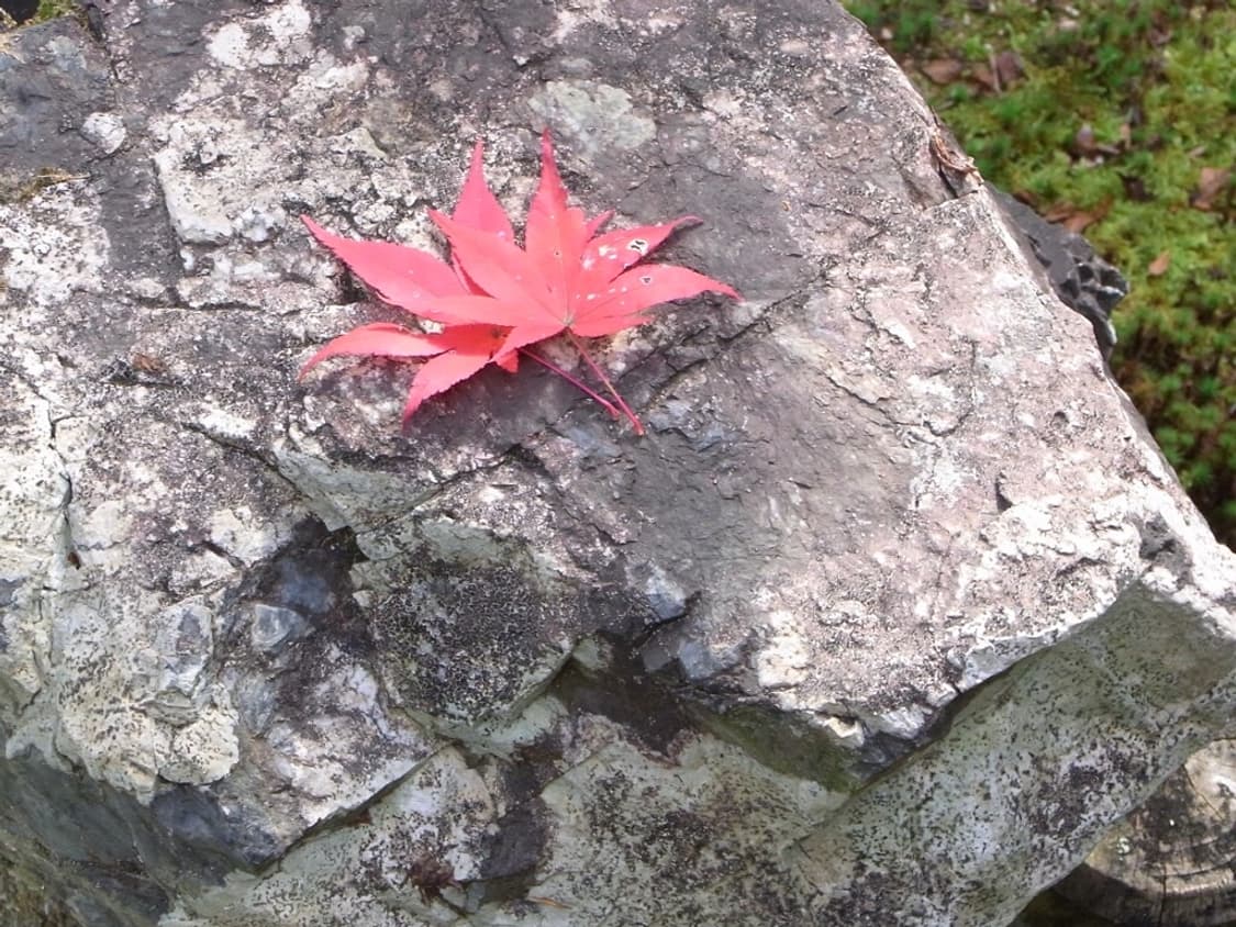 리코 CX1 RICOH CX1 블랙 상품이미지5