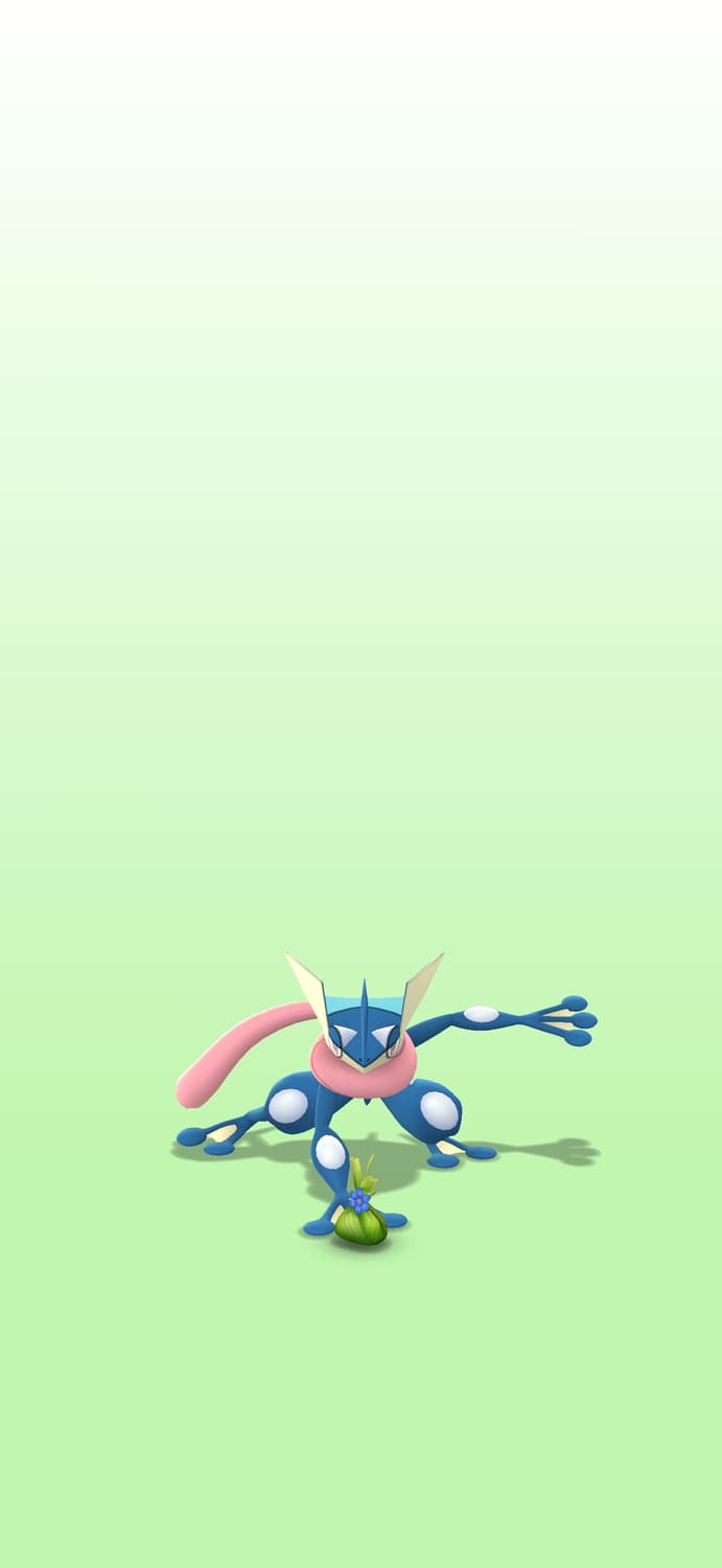 개굴닌자 상품이미지1