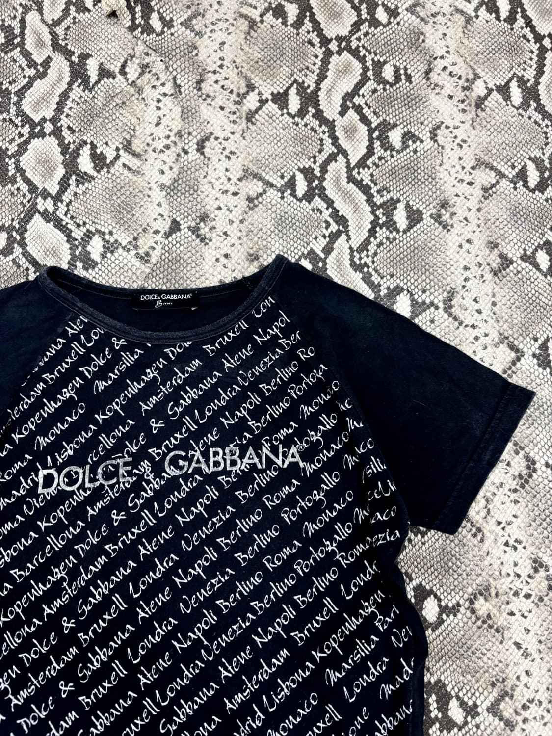 “Dolce&Gabbana” Logo& Lettering Print Te 상품이미지3