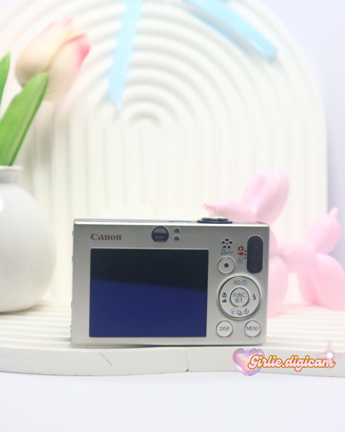 *인프루언서디카*캐논 익서스 70/ 익시 10 필름색감 끝판왕(직접체험) 상품이미지6