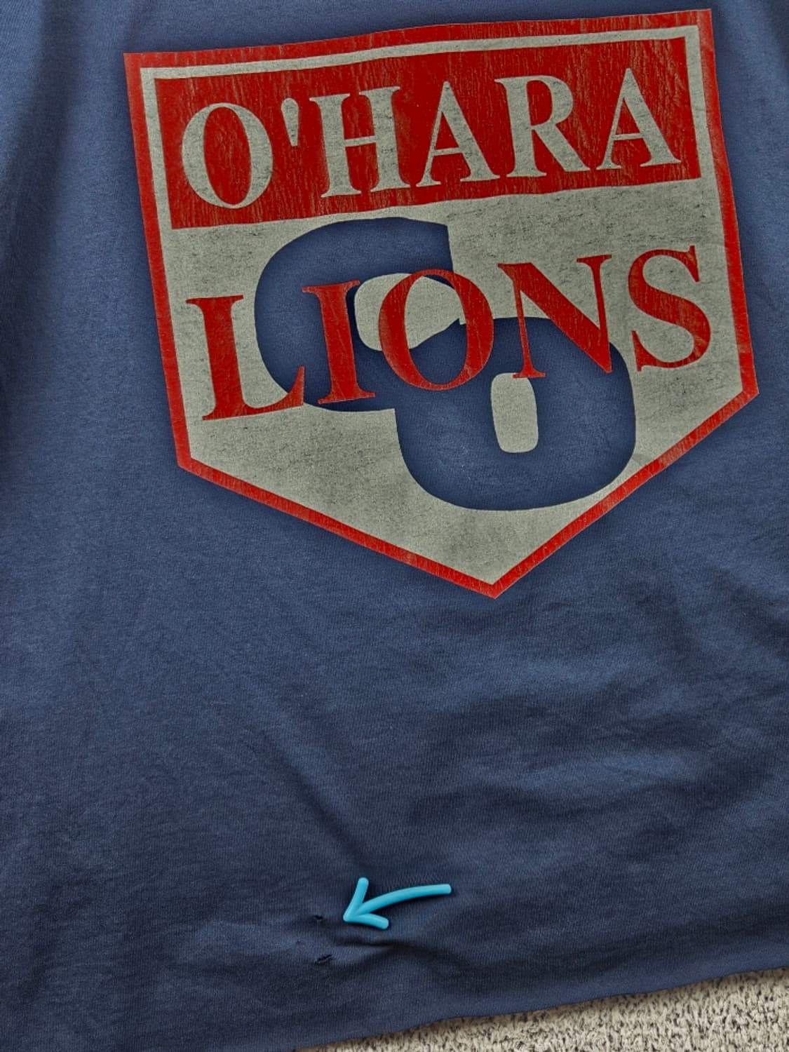 80'~90's 프룻 오브 더 룸 라이언 롱슬리브 ( XL )/11118 상품이미지9