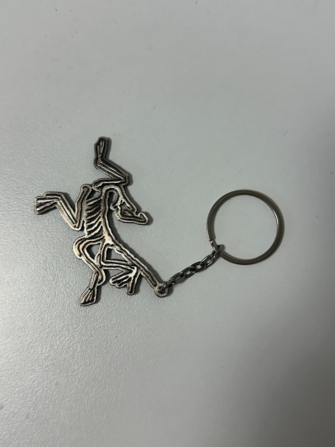 아크테릭스 키링 상품이미지1