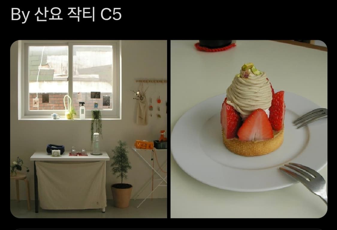 산요 작티 c5 디토캠 웨딩스냅 디카 상품이미지9