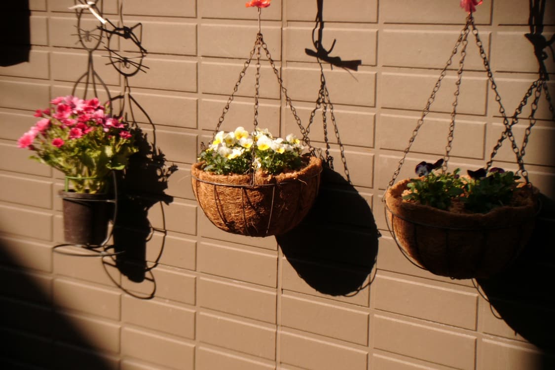 (작례) 후지필름 파인픽스 finepix z35 빈티지 디카 상품이미지8