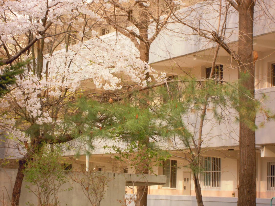 작례o) 니콘 쿨픽스 s640 블랙 디카 상품이미지2