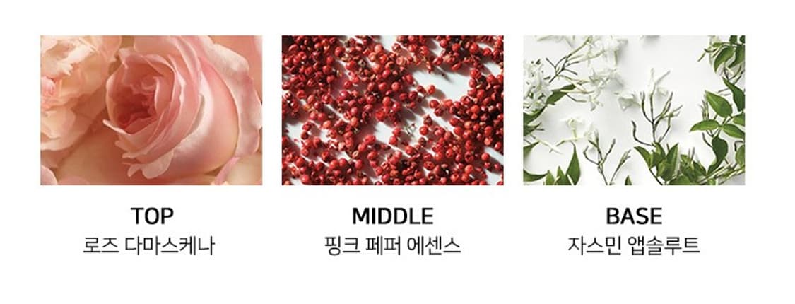 랄프로렌 폴로 로망스 오드퍼퓸 100ml 상품이미지4